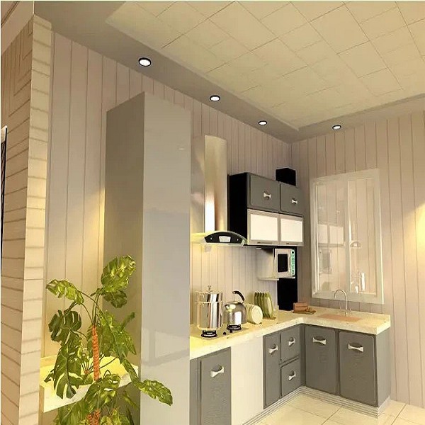 Ceiling PVC board (4)